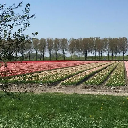 Ferienpark Rekerlanden 80 Schoorldam